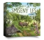 Smíšený les: Pomezí
