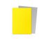 Dragon Shield - Dual Matte Sleeves: Yellow & Silver