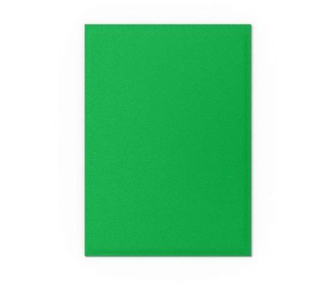 Dragon Shield - Dual Matte Sleeves: Apple Green & Silver